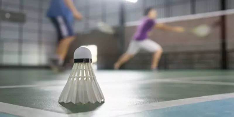 khi-tham-gia-ca-cuoc-can-phai-hieu-ty-le-keo-nhu-the-nao-da