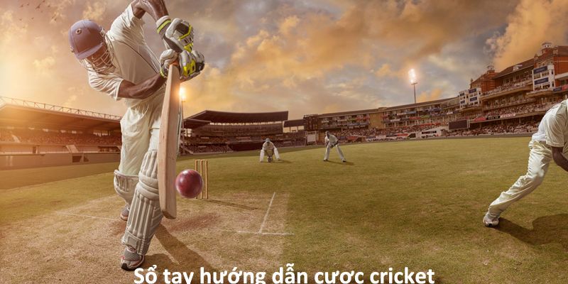 review-ca-cuoc-cricket-truc-tuyen
